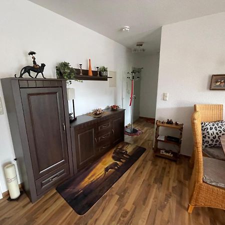 Moeblierte Wohnung Fuer Geschaeftsreisen/Ferienwohnung Plauen Stadtmitte Esterno foto