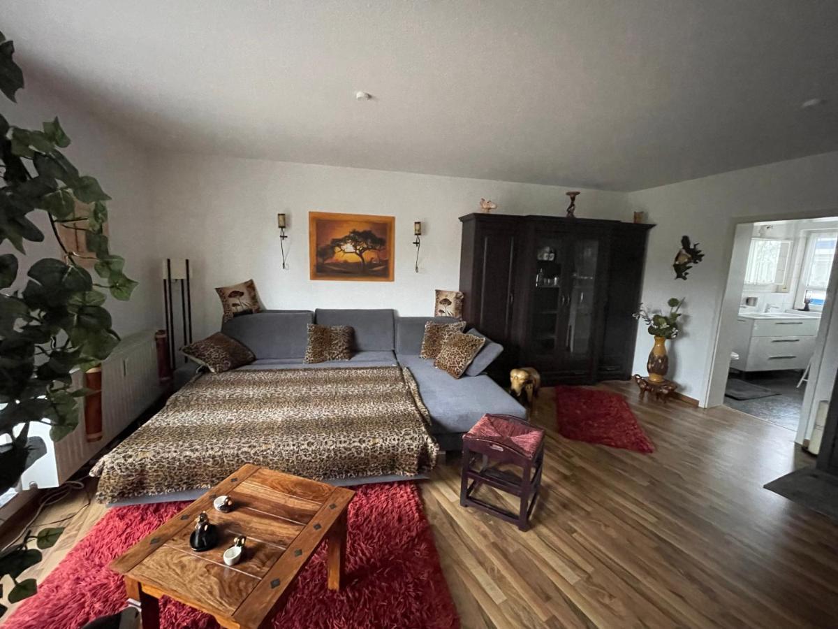 Moeblierte Wohnung Fuer Geschaeftsreisen/Ferienwohnung Plauen Stadtmitte Esterno foto