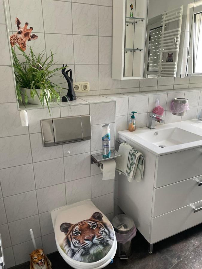Moeblierte Wohnung Fuer Geschaeftsreisen/Ferienwohnung Plauen Stadtmitte Esterno foto